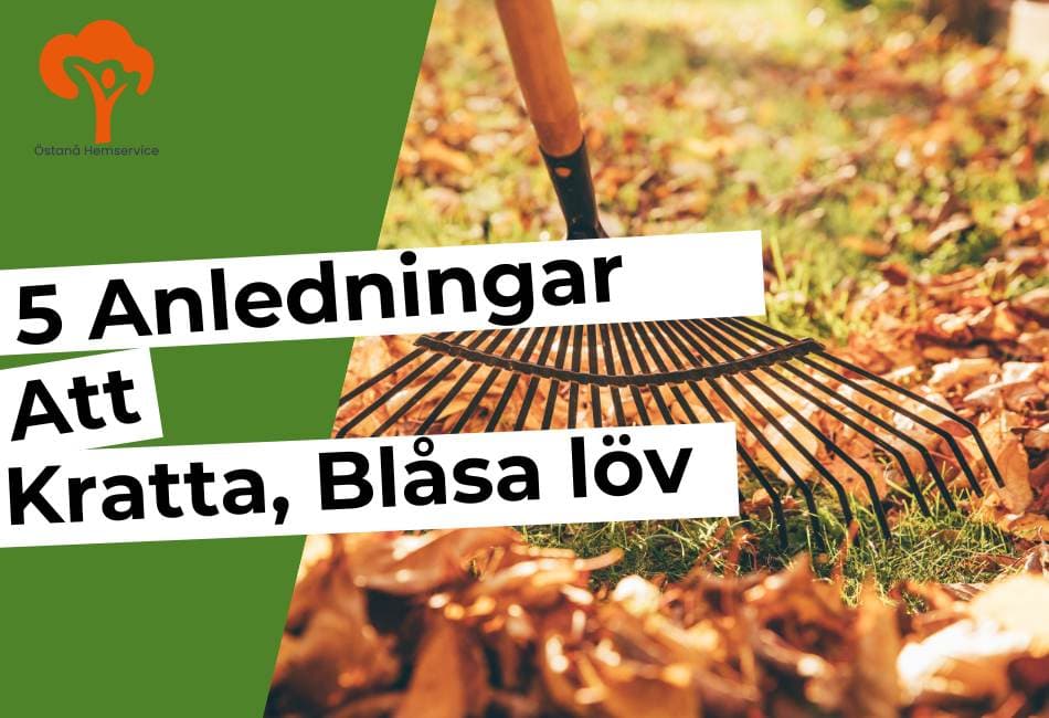 kratta löv, blåsa löv i Åkersberga