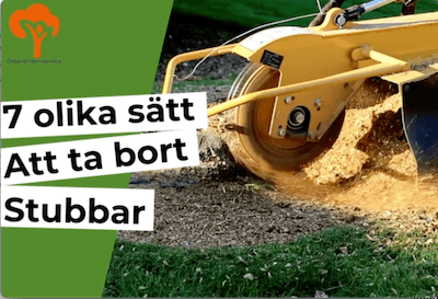 7 sätt att ta bort stubbar