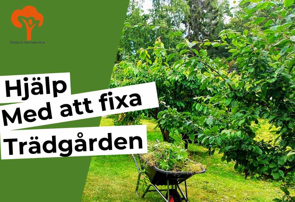 hjälp med att fixa trädgården i åkersberga