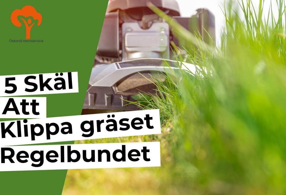 klippa gräs i Åkersberga, Gräsklippning i Åkersberga
