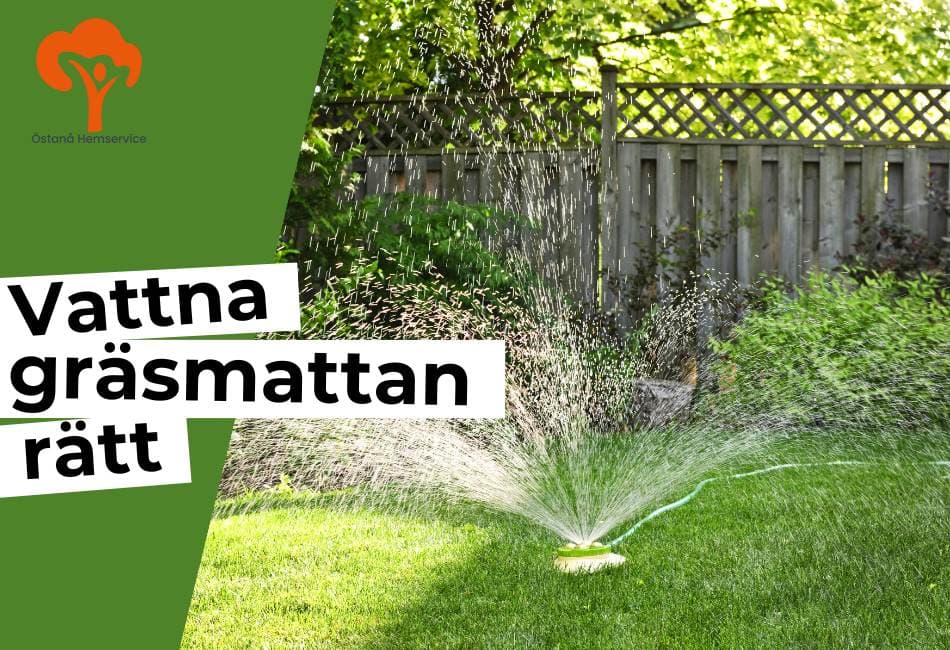 vattna gräset rätt