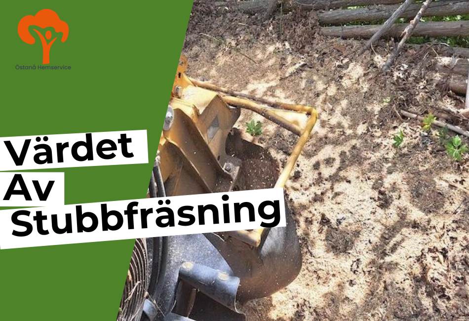 värdet av stubbfräsning i åkersberga